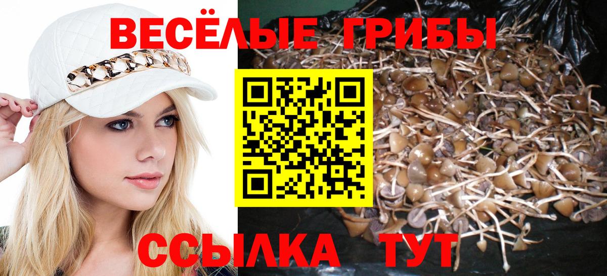 Галлюциногенные грибы Magic Shrooms Михайловск