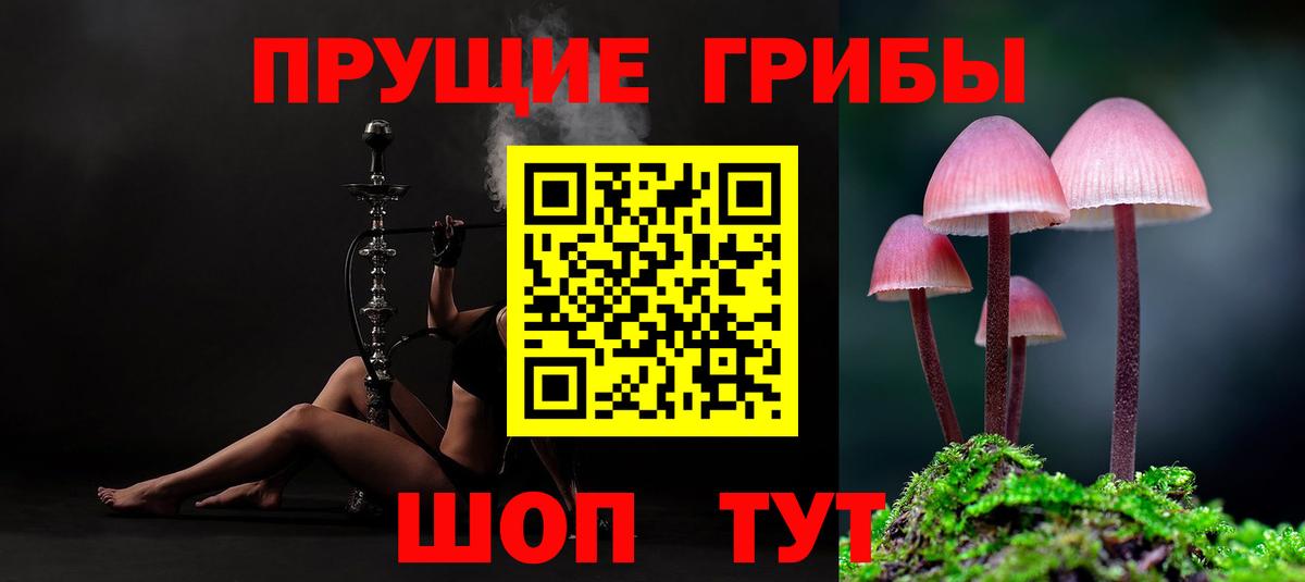 Михайловск  наркотики  Вход с VPN  Галлюциногенные грибы Cubensis  Псилоцибиновые грибы мицелий 